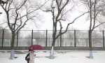 下雪的哈尔滨